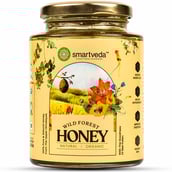 1 - Smartveda Wild Forest Honey,  500 g  Natural 