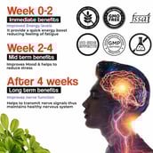 3 - Health Veda Organics Plant Based B-Complex,  60 veggie capsule(s)  Unflavoured 