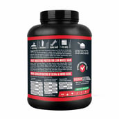 Vigour Fuel Essential Whey Protein,  2.2 lb  Mint Chocalate 