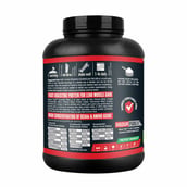 Vigour Fuel Essential Whey Protein, 2.2 lb Banana Smoothie