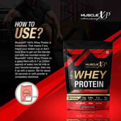 6 - MuscleXP 100% Whey Protein with Digestive Enzyme, 2.2 lb Double Chocolate Pack of 2