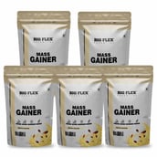 1 - Big Flex Essential Mass Gainer, 2.2 lb Kesar Badam Pack of 5