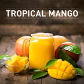 4 - MuscleBlaze Biozyme Iso-Zero, 2.2 lb Low Carb Tropical Mango