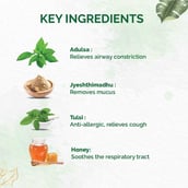 5 - Dr. Vaidya's Tulsi-Ginger Cough Syrup, 100 ml