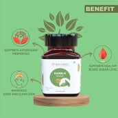 4 - Naturrel Karela Extract, 60 tablet(s)