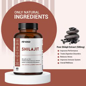 4 - Nirvasa Shilajit (Pack of 4), 60 tablet(s)