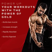3 - MuscleTech Nitrotech 100% Whey Gold, 8.8 lb Double Rich Chocolate