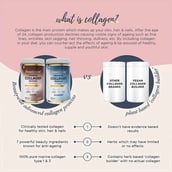 3 - Beautywise Advanced Collagen Proteins, 0.250 kg Blueberry